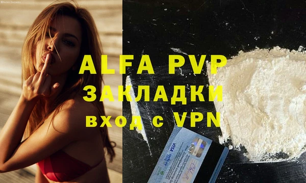 индика Вуктыл