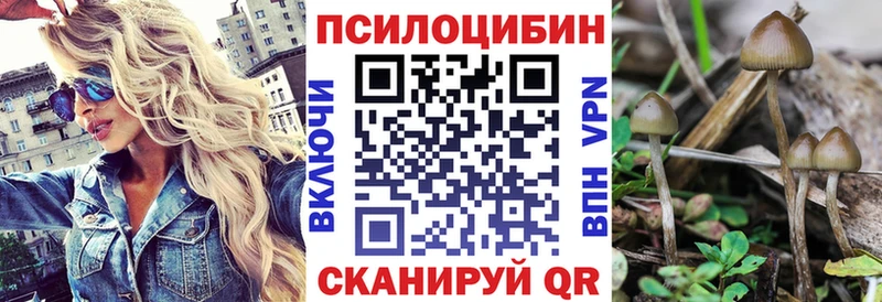 Псилоцибиновые грибы Psilocybe  дарк нет формула  Арск 
